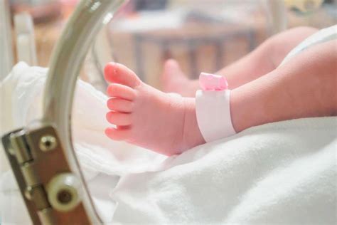 A história da Triagem Neonatal no Brasil Teste da Bochechinha