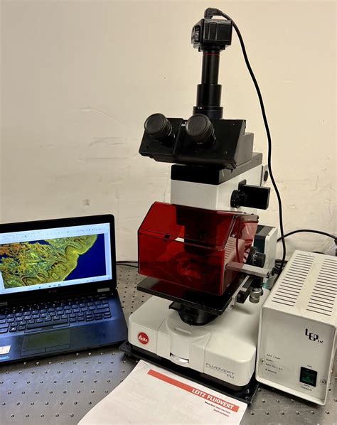 Leica Wild Leitz Fluovert Fu Fluorescence Phase Inverted Microscope