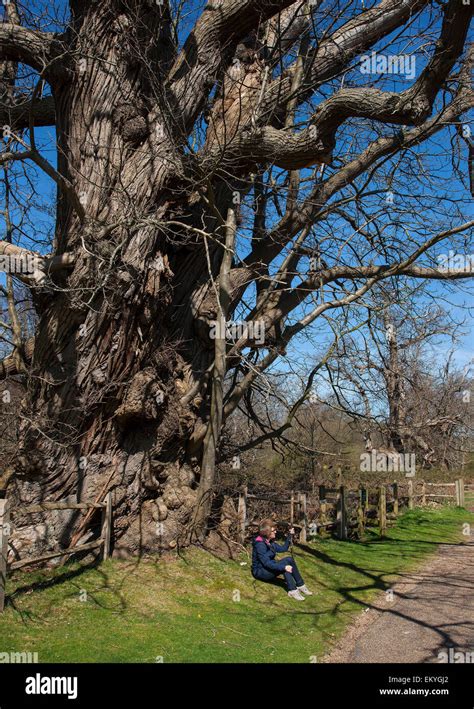 Mature Lady Sitting In Countryside In Sunshine Stock Photo Alamy