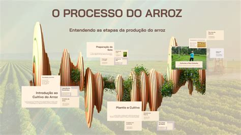 Como É Feito O Arroz - O PROCESSO DO ARROZ by kauan souza on Prezi