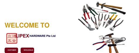 lipex.com.sg - .SG Domain Names: Singapore Business Directory