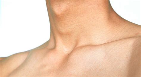 Do Women Have Adams Apple 8 Interesting Facts