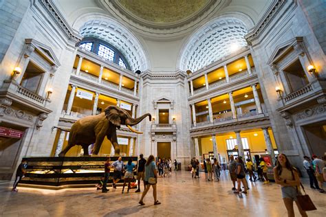 100 Smithsonian National Museum Of Natural History Wallpapers