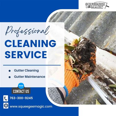 Gutter Cleaning Maple Grove MN | #1 Gutter Cleaning Services