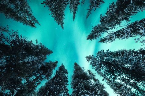 Organicwoman: жизнь в зеленом цвете