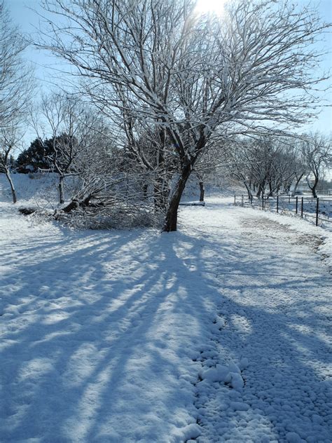 Snow Scene Free Stock Photo - Public Domain Pictures