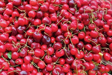 Apricot Cherry Freezer Jam The Café Sucre Farine