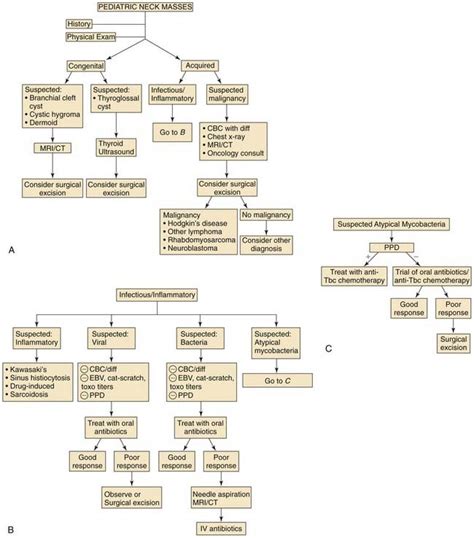 Neck Mass Differential Diagnosis Algorithm Congenital Grepmed | The ...