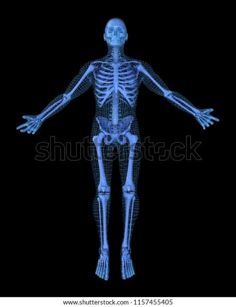 Nude Teen Boy Models Over 3 Royalty Free Licensable Stock Illustrations Drawings Shutterstock