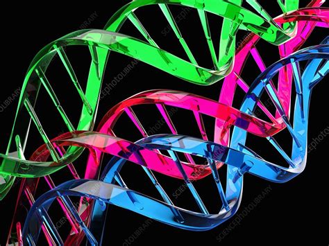 Dna Deoxyribonucleic Acid Molecules Illustration Stock Image