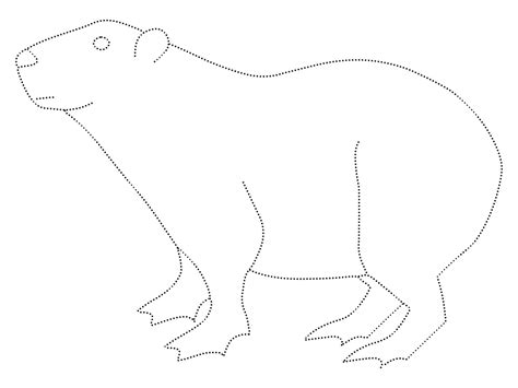 Capybara Tracing Worksheet Coloring Page Download Print Or Color