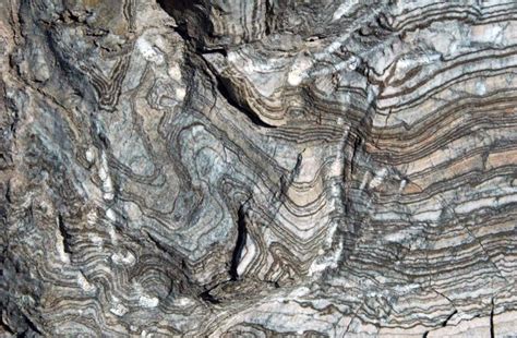 Мелкая складчатость в гипсовой толще