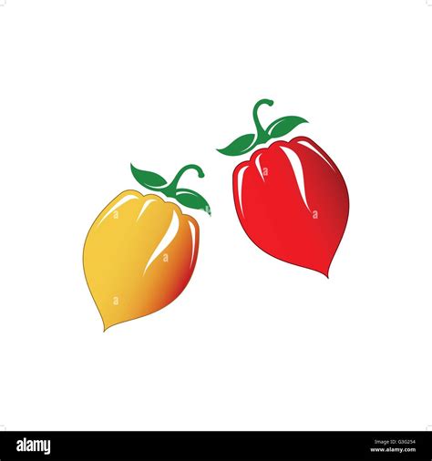 Hot Chilli Pepper Vector Set Isolated On White Background Red And Yellow Stock Vector Image