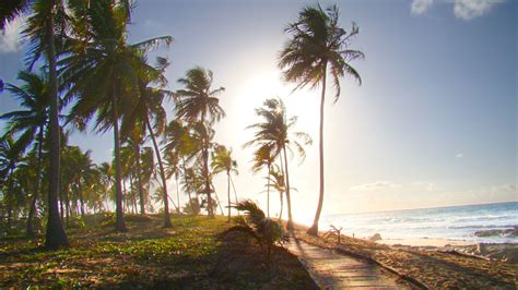 Hot Park E Hotel Premium Sol Na Costa Do Sau Pe Editora News