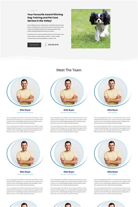 About Us Layouts Webpage Layouts Barketing Solutions