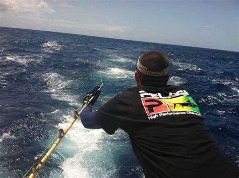 New Photos - Piper Sportfishing