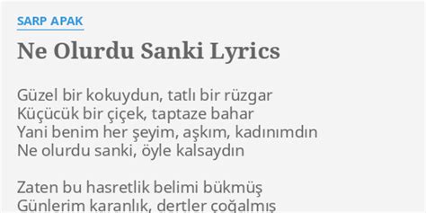 ne olurdu sanki lyrics  sarp apak guzel bir kokuydun tatli