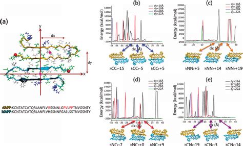 A Structures And Sequences Of Hiapp Cyan Chain And Riapp Orange