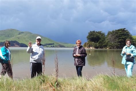 2023 Dunedin And Otago Peninsula Wildlife Tour With Optional Larnach