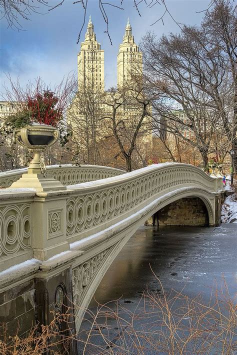 bow bridge central park  york city  york travel beautiful