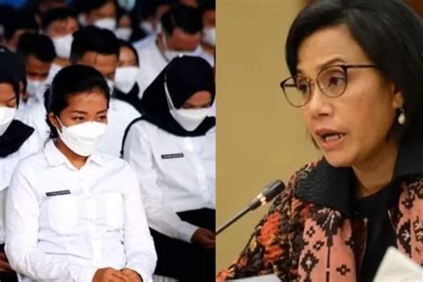 Kategori Honorer Ini Telah Dijamin Oleh Sri Mulyani Meskipun Opsi