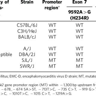 | Mutations of the Tyk2 gene in virus-induced diabetes-susceptible mice ...