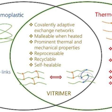 Vitrimer model. (A) Illustration of the two-step metathesis reactions ...