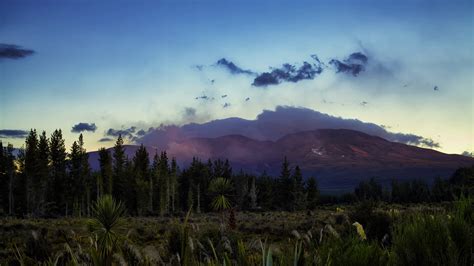 Primal Earth Images Mt Tongariro Volcanic Activity Stock Video Footage ...