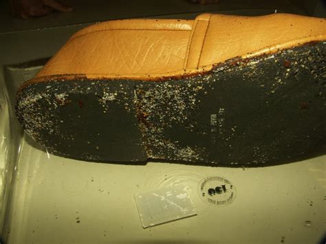 Can You See Bed Bugs With The Naked Eye PestSeek