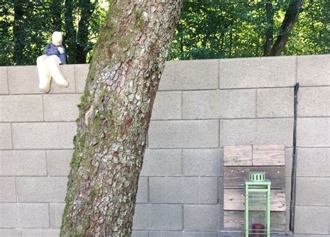 Hoe Is Het Toch In Gerbrand Bakkers Tuin In De Eifel Trouw