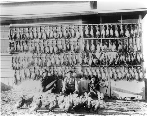The dougherty funeral hibbing facility has a secret historical chapel 6