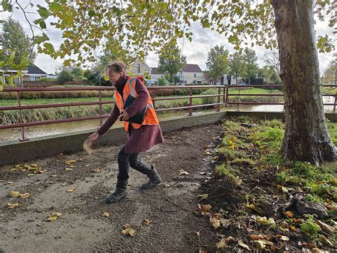 Fotonieuws Actie Steenbreek tegel eruit plant erin WâldNet