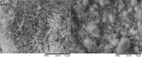 SEM images of a goethite and b lepidocrocite | Download Scientific Diagram