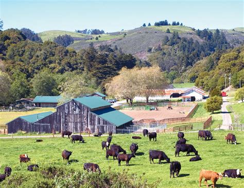 Tomkat Ranch Embracing A Circle Of Life Edible Silicon Valley Bay