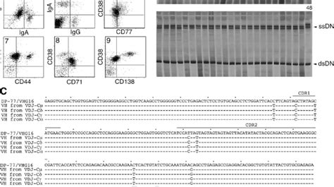 Actively Class Switching Malignant Cll B Cells Comprise Clonally