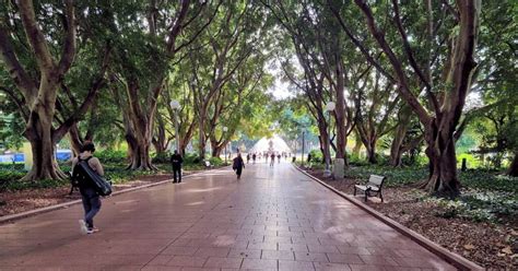 Sydney Hyde Park Ausemade