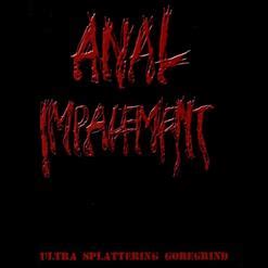 Ultra Splattering Goregrind 2013 Anal Impalement скачать в mp3 бесплатно слушать альбом