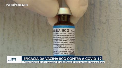 Ja Edi O Estudo Da Ufg Avalia Potencial Da Vacina Bcg Na Prote O