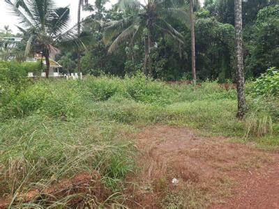 Residential Land Plot For Sale In Kannapuram Kannur 726 Sq Yard