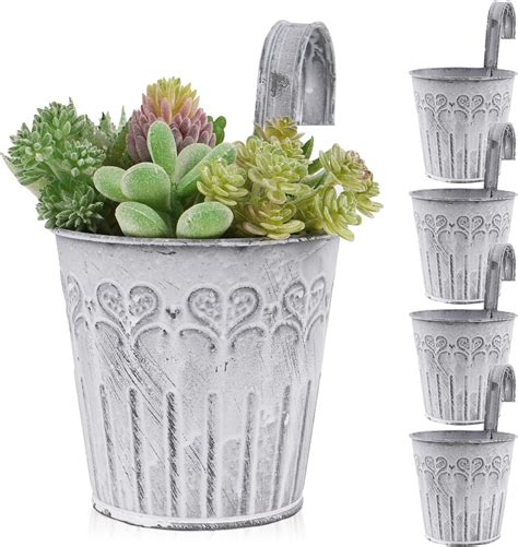 Coolty 3pcs Vintage Metal Flower Pots Wall Planter Hanging Plant Pots