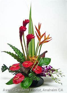 Tropical Ginger Helicon Is Anthuriums Orchids And Tropical Greens