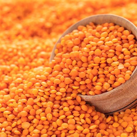 Amazon.co.jp: Red Lentil Lentil 2.2 lbs (1 kg), Commercial Use, Dried