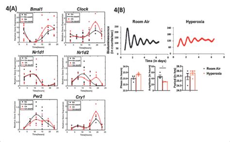 Exposure to hyperoxia as neonates reduce the amplitude of circadian... | Download Scientific Diagram