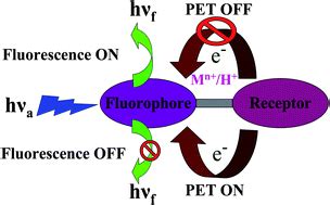 Selective Fluorescence Sensing Of Cu Ii And Zn Ii Using A New Schiff