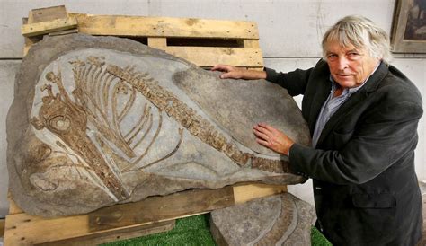 90-Million-Year-Old Ichthyosaurus Fossil Unearthed From Man's Yard