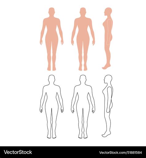 Naked Standing Woman Bald Silhouette Royalty Free Vector