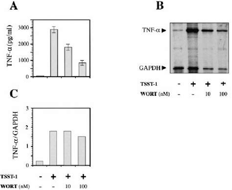 Inhibition Of Tnf α Secretion By Wn Doseresponse Pbmc Were