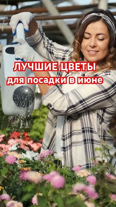 ЛУЧШИЕ ЦВЕТЫ для посадки летом - YouTube