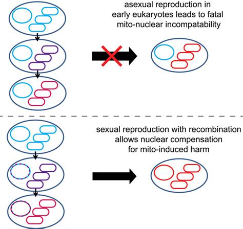 Bioessays Vol 37 No 9