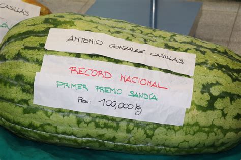 Hoy De Agosto Se Celebra El D A Internacional De La Sand A